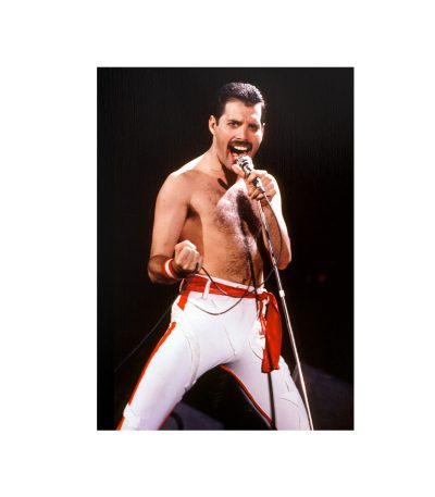 متال پوستر مستر پیکد طرح Freddie Mercury فردی مریکوری کد PCD-MB1051