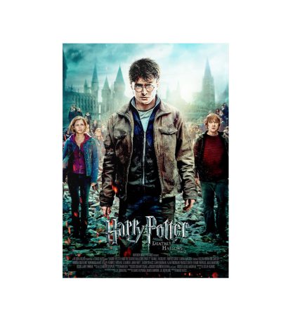 متال پوستر مستر پیکد طرح هری پاتر Harry Potter کد PCD-MB1063