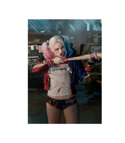 متال پوستر مستر پیکد طرح هارلی کویین Harley Quinn کد PCD-MB1093