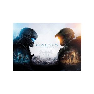 متال پوستر مستر پیکد طرح هیلو HALO 5 کد PCD-MB1210