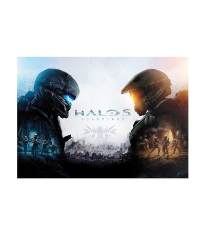 متال پوستر مستر پیکد طرح هیلو HALO 5 کد PCD-MB1210
