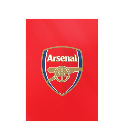 متال پوستر مستر پیکد طرح آرسنال Arsenal F.C. کد PCD-MB1228