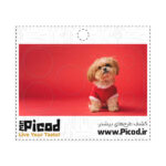اسکین محافظ لنز آیفون۱۷ طرح سگ کوچولو کد PCD-CS1011 - 4